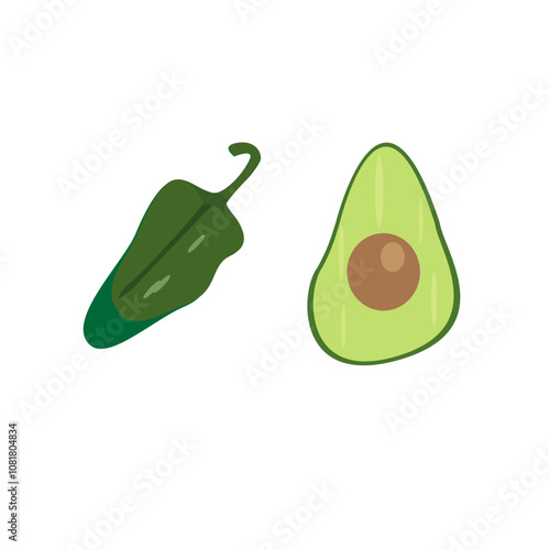 vegetable vector . look like a real vegetable. healthy and good for page. 