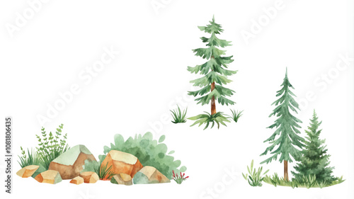 Watercolor illustration of coniferous trees, bushes and rocks.
