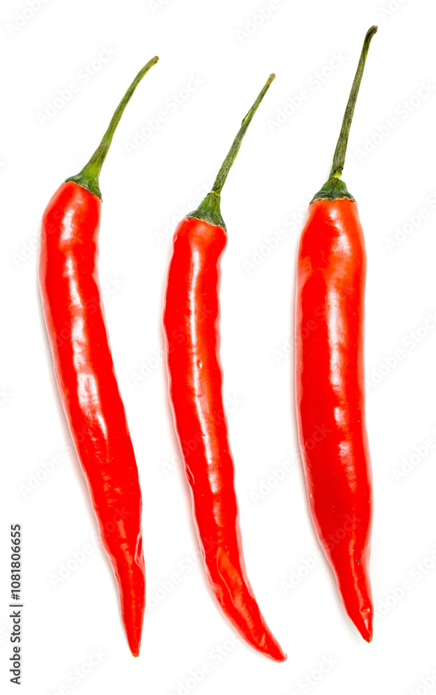 chili pepper on a white background chili pepper on a white background