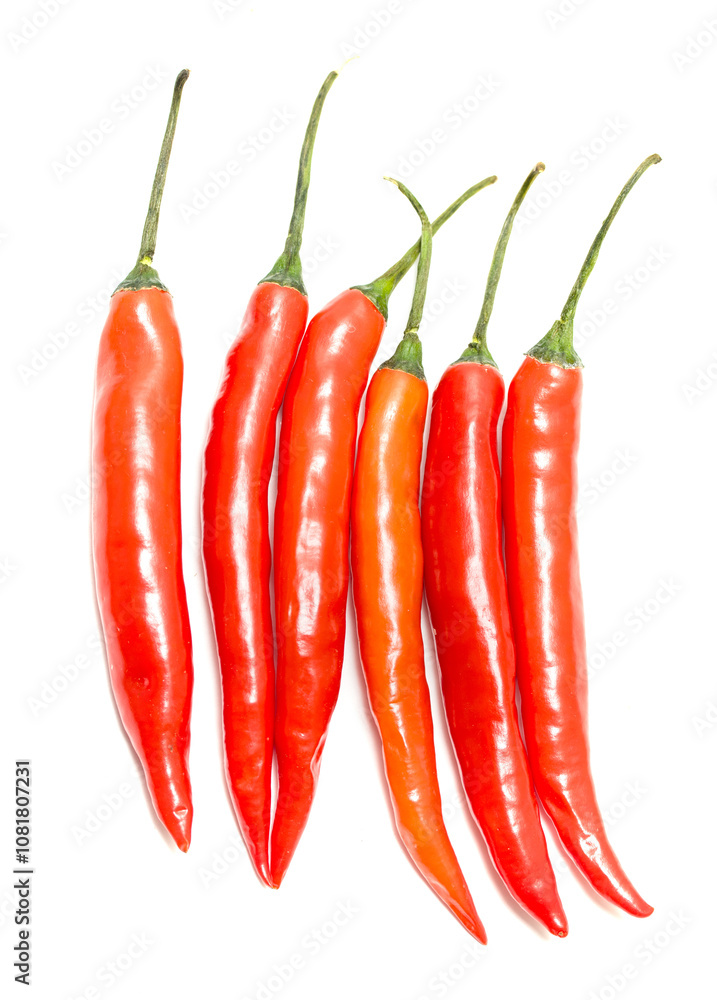 chili pepper on a white background chili pepper on a white background