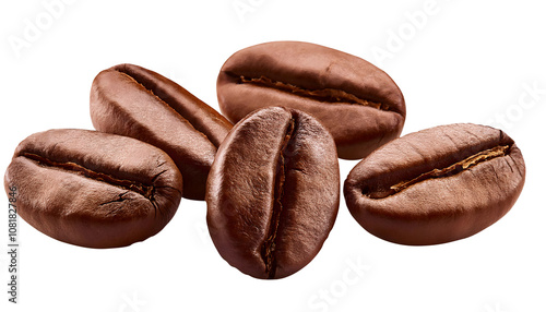 coffee bean grains