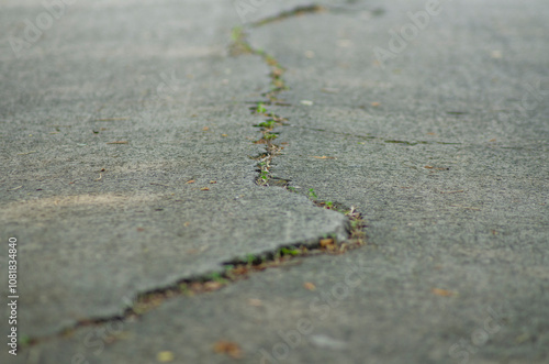 The ground cracked due to the earthquake, the asphalt road was damaged and cracked.