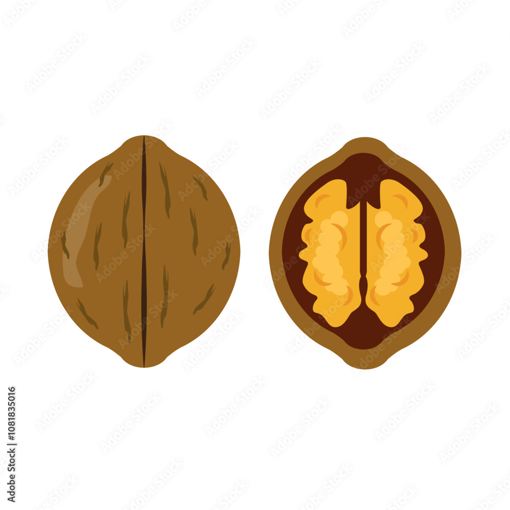 Tasty walnut on white background, vector illustration Tasty walnut on white background, vector illustration