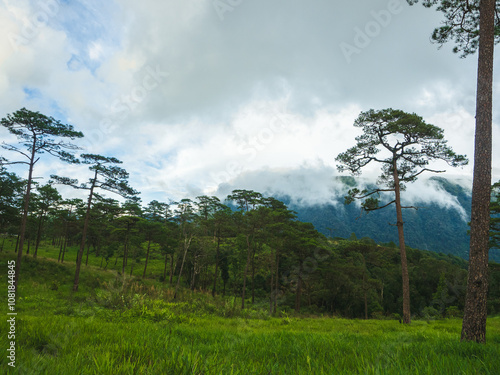 Misty rainforest mountains in Phu Soi Dao National Park, Thailand photo