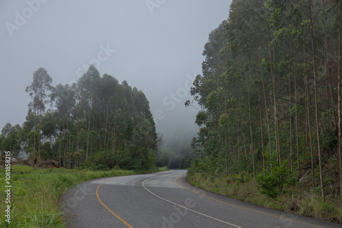 brouillard sur une route de montagne