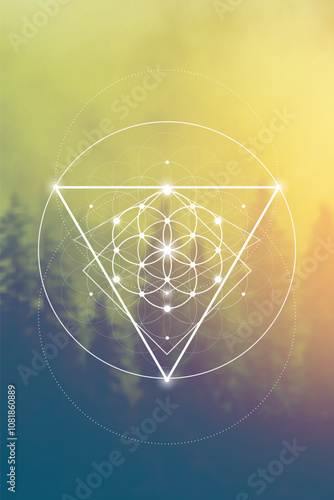 Sacred geometry flower of life vector illustration. Esoteric Energy Elements in Futuristic Design related to Tarot, Alchemy and Astrology