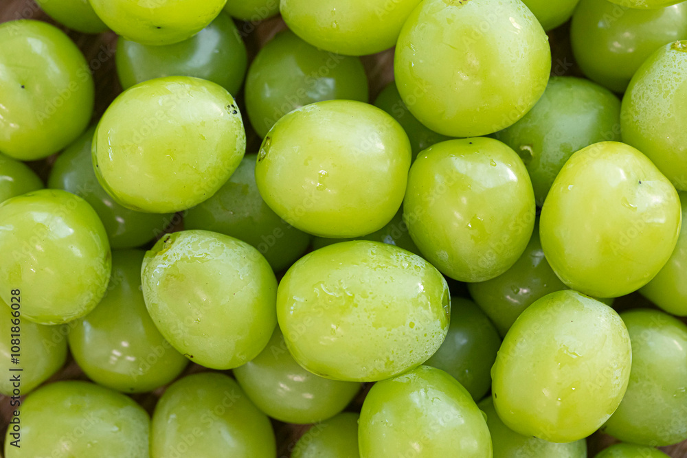 Shine Muscat Grape with on white background. Shine Muscat Grape with on white background.