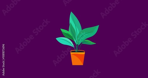 Cartoon houseplant in square pot isolated. Business style house or office interior plant flower good for explainer. Flat vector simple business style infographic seamless loop animation 4k video.