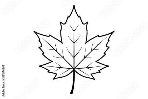 Maple leaf outline vector illustration white background