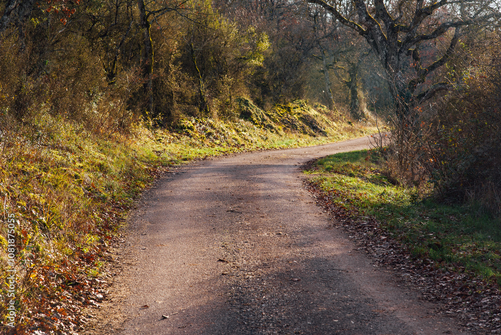route de campagne en automne. Chemin rural dans une forêt automnale. Voyage en automne. Lumière automnale. Bourgogne rurale route de campagne en automne. Chemin rural dans une forêt automnale. Voyage en automne. Lumière automnale. Bourgogne rurale