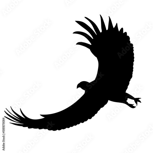 eagle flaps wings on white background silhouette, vector