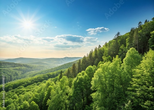 Lush Green Forest Under a Bright Blue Sky on a Sunny Day with Ample Copy Space for Your Creative Projects and Nature-Themed Content