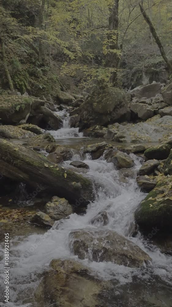 The magnificent flow of the stream flowing from the depths of the canyon The magnificent flow of the stream flowing from the depths of the canyon