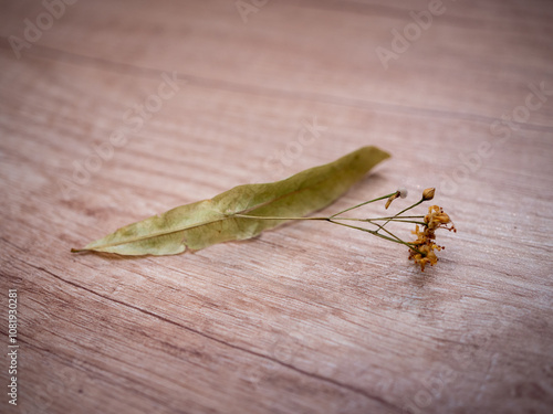 Linden flowers are used mainly in winter. Tea helps to fight fever, has a depressant and diuretic effect. We can store it dried for the winter. photo