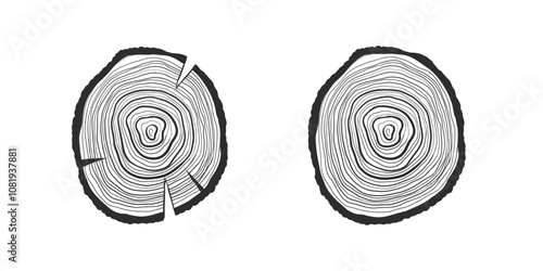 Round slice of tree. Wooden logs textures. Tree trunk cuts with annual tree rings. Vintage outline tree rings stumps, cut trees structure. vector drawing in sketch style isolated on background