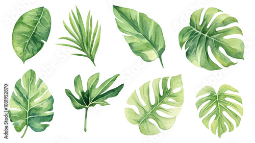 Watercolor Tropical Leaves Collection Green Foliage Jungle Plants Palm Monstera Illus