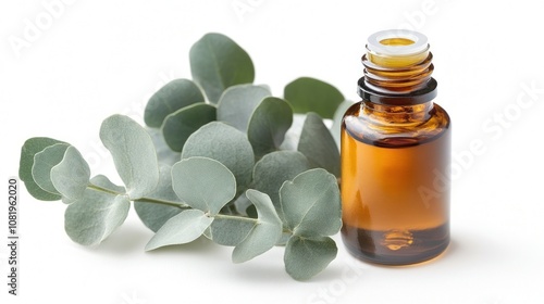 Eucalyptus Essential Oil Bottle with Fresh Eucalyptus Leaves