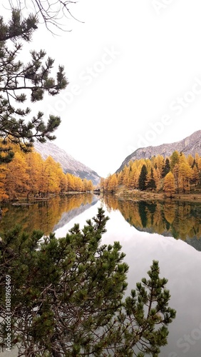 Palpuognasee im Herbst photo