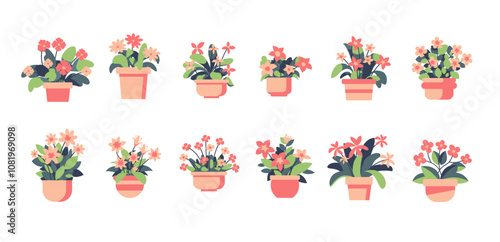 House plants in flowerpot vector set, collection of potted plant, cute flower plant vector set