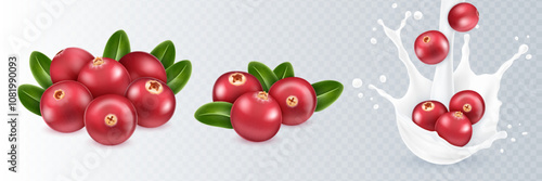 3d realistic set red fresh cranberry with leaves isolated on transparent background. Cranberries in a splash of milk or yogurt