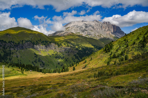 Wallpaper Mural Summer sunny landscape of Val Duron in the Dolomites, Campitello di Fassa, Italy, Europe Torontodigital.ca