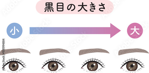 黒目の大きさ　比較