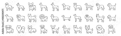 Dog Breeds line icon set. Vector pictograms of labrador, golden retriever, german shepherd, bulldog, beagle, poodle, dachshund, pug, shih tzu, maltese, yorkshire terrier thin linear illustration.