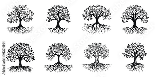 Tree designs with roots vector illustration. Black and white illustrations featuring various plant styles with detailed root systems and foliage. photo