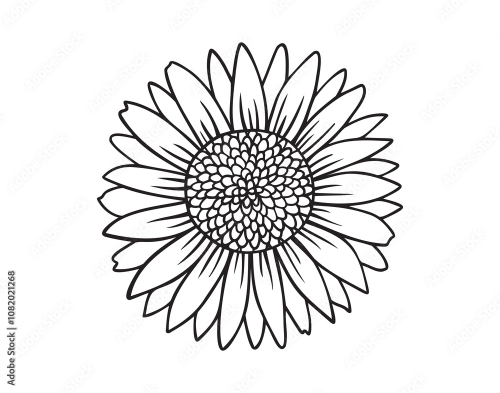 Outline drawing sunflower line art isolated. Hand drawn doodle sunflower. botanical vector flower illustration. Outline drawing sunflower line art isolated. Hand drawn doodle sunflower. botanical vector flower illustration.