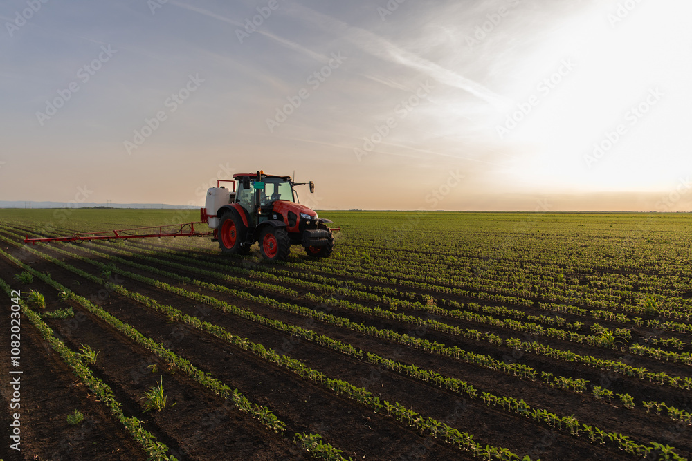 Tractor spraying soybean crops field Tractor spraying soybean crops field