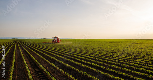 Tractor spraying soybean crops field