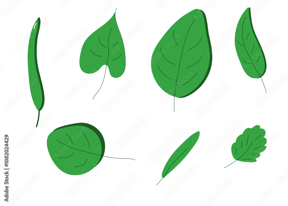 a set of different leaves on a white background , a set of different leaves on a white background ,