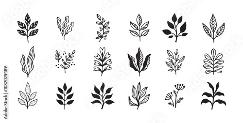 Hand drawn outline doodle floral elements leaf set. Plant leaves vector design