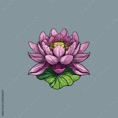 Beautiful lotus flower vector illustration