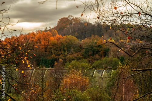 Autumn, fall tree and leaf colours along the Caldon canal at Froghall in Staffordshire. photo