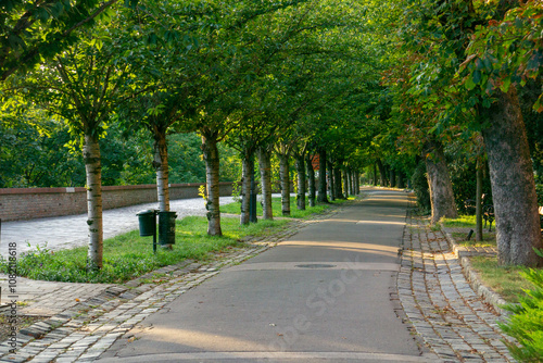 Viale alberato senza persone, Budapest, Ungheria