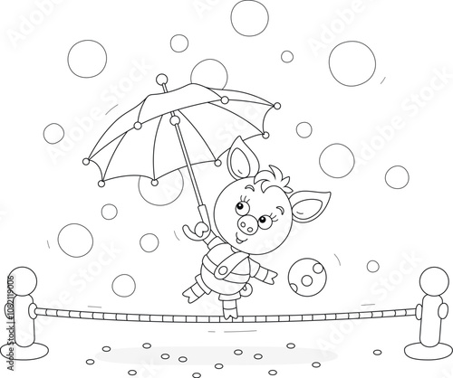 Funny little piglet equilibrist playing with a striped umbrella and balancing on a taut rope in a fun circus performance, black and white outline vector cartoon illustration for a coloring book