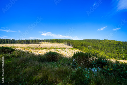 Landscape near Bruchhauser Steine ​​at Istenberg in the Rothaar Mountains. Hiking trails in the Sauerland.
 photo