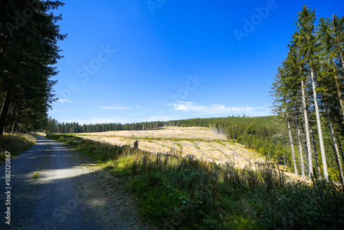 Landscape near Bruchhauser Steine ​​at Istenberg in the Rothaar Mountains. Hiking trails in the Sauerland.
 photo