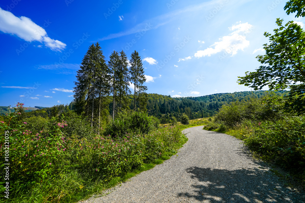 Landscape near Bruchhauser Steine at Istenberg in the Rothaar Mountains. Hiking trails in the Sauerland.
Landscape near Bruchhauser Steine at Istenberg in the Rothaar Mountains. Hiking trails in the Sauerland.