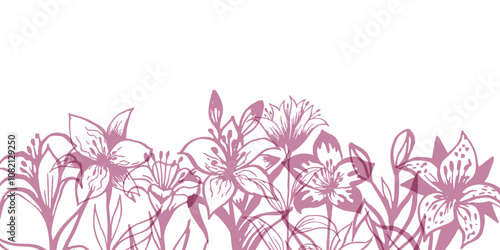Lillies floral border. Horizontal down divider, pink color. Easter or  religion funeral decoration element.