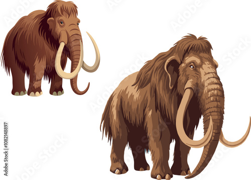 Two mammoths standing on a white background