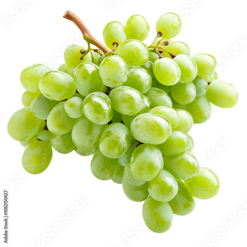 A bunch of plump green grapes hangs from a stem, showcasing their freshness and vibrant color