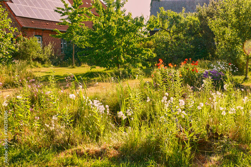 Tableau sur toile garden in an ecologically desirable way