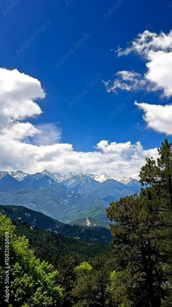 A stunning view of snow-capped mountains on a clear, sunny day in the forest A stunning view of snow-capped mountains on a clear, sunny day in the forest