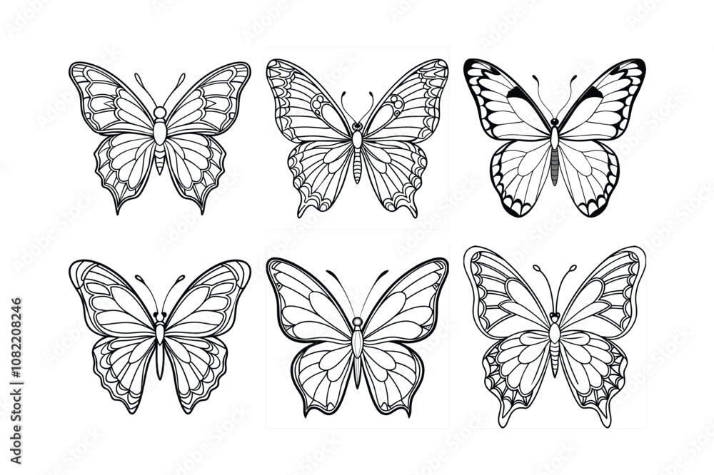 Butterfly design, labeled line art vector illustration. Butterfly design, labeled line art vector illustration.