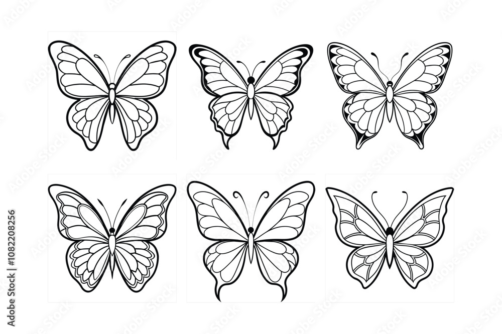 Butterfly design, labeled line art vector illustration. Butterfly design, labeled line art vector illustration.