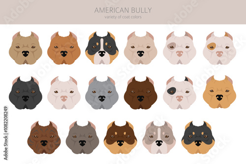 American bully all colours clipart. Different coat colors set.  Vector illustration