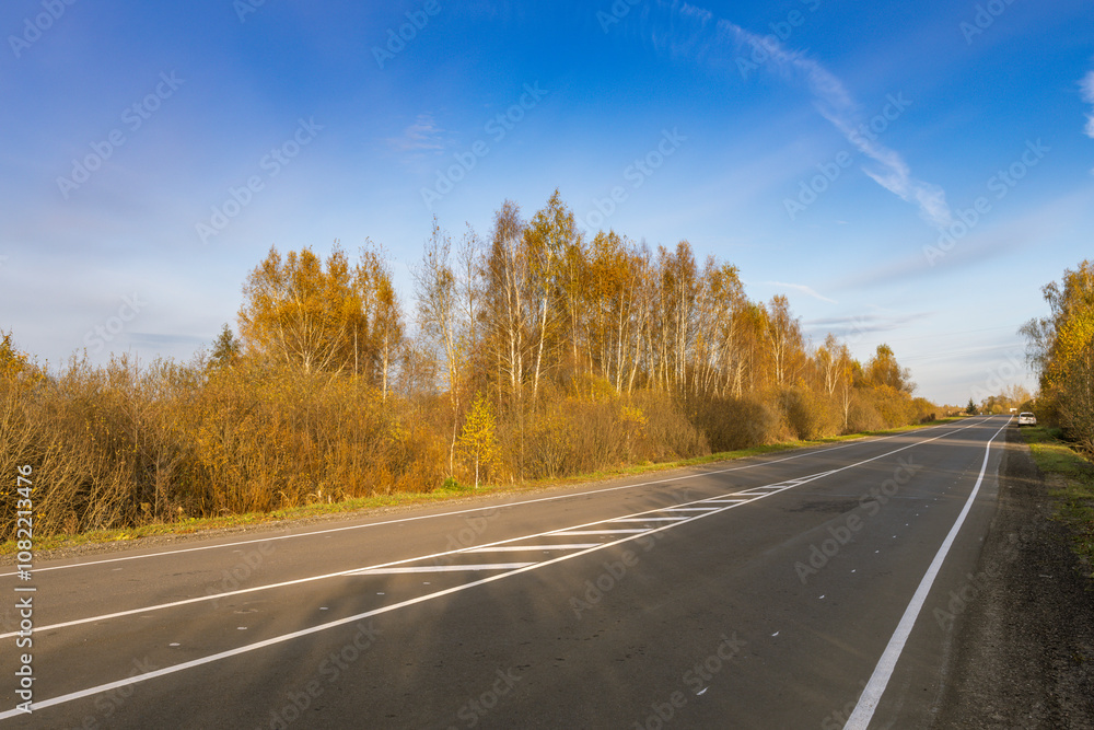 Fototapeta premium A road with a few trees on the side and a clear blue sky