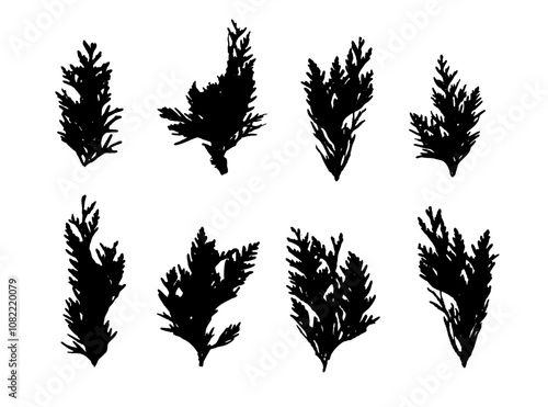 Cypress Twigs Icon, Cupressus Leaf Symbol, Arborvitae Twig, Thuya Sprig Silhouette, Thuja Leaves